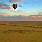 Ballon in der Masai Mara - Serengeti