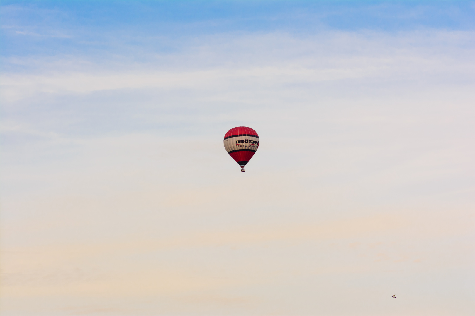 Ballon mit Taube