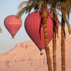 Ballon Palme egypt-17col