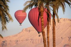 Ballon Palme egypt-17col