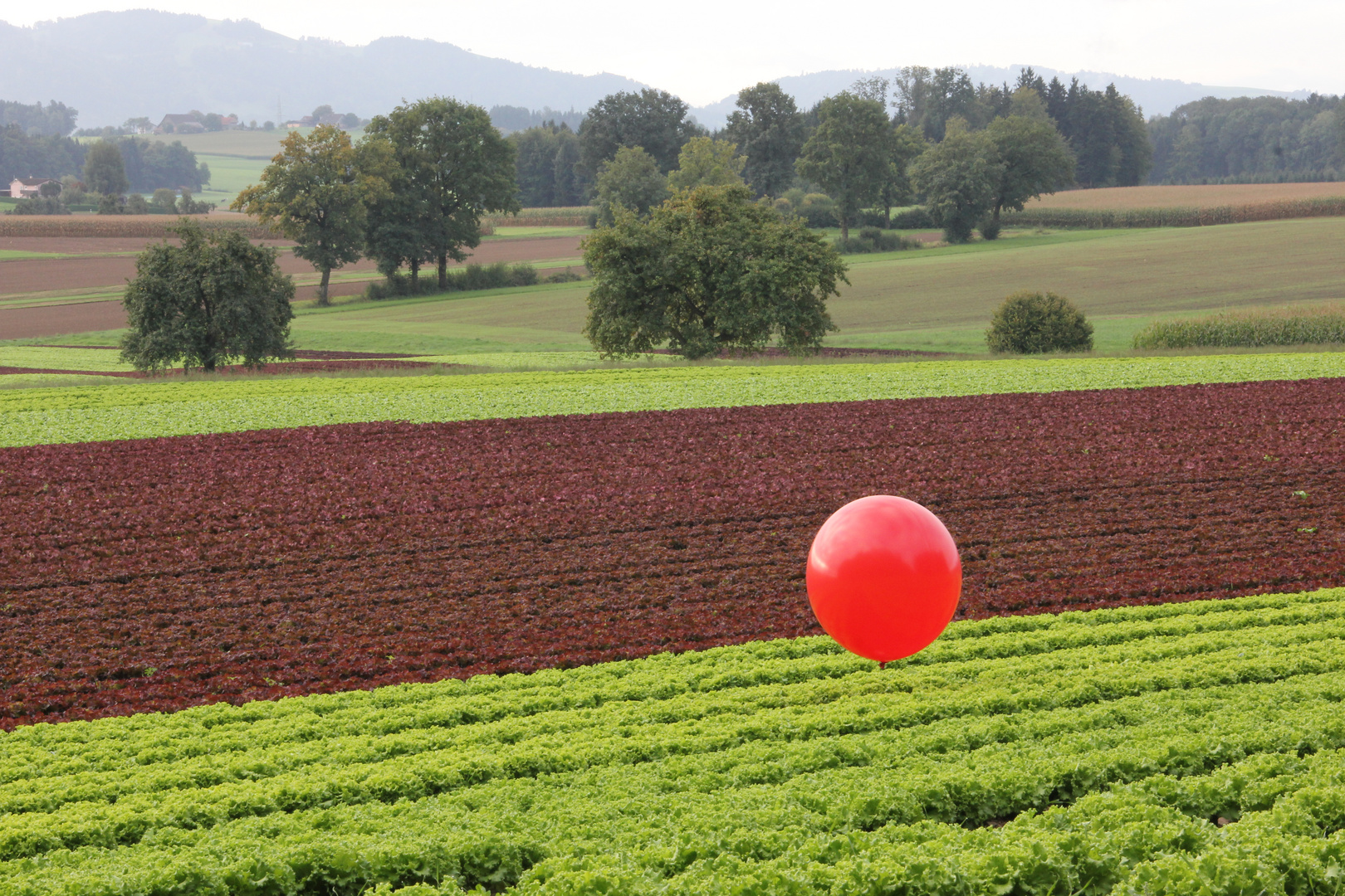 Ballon Salat