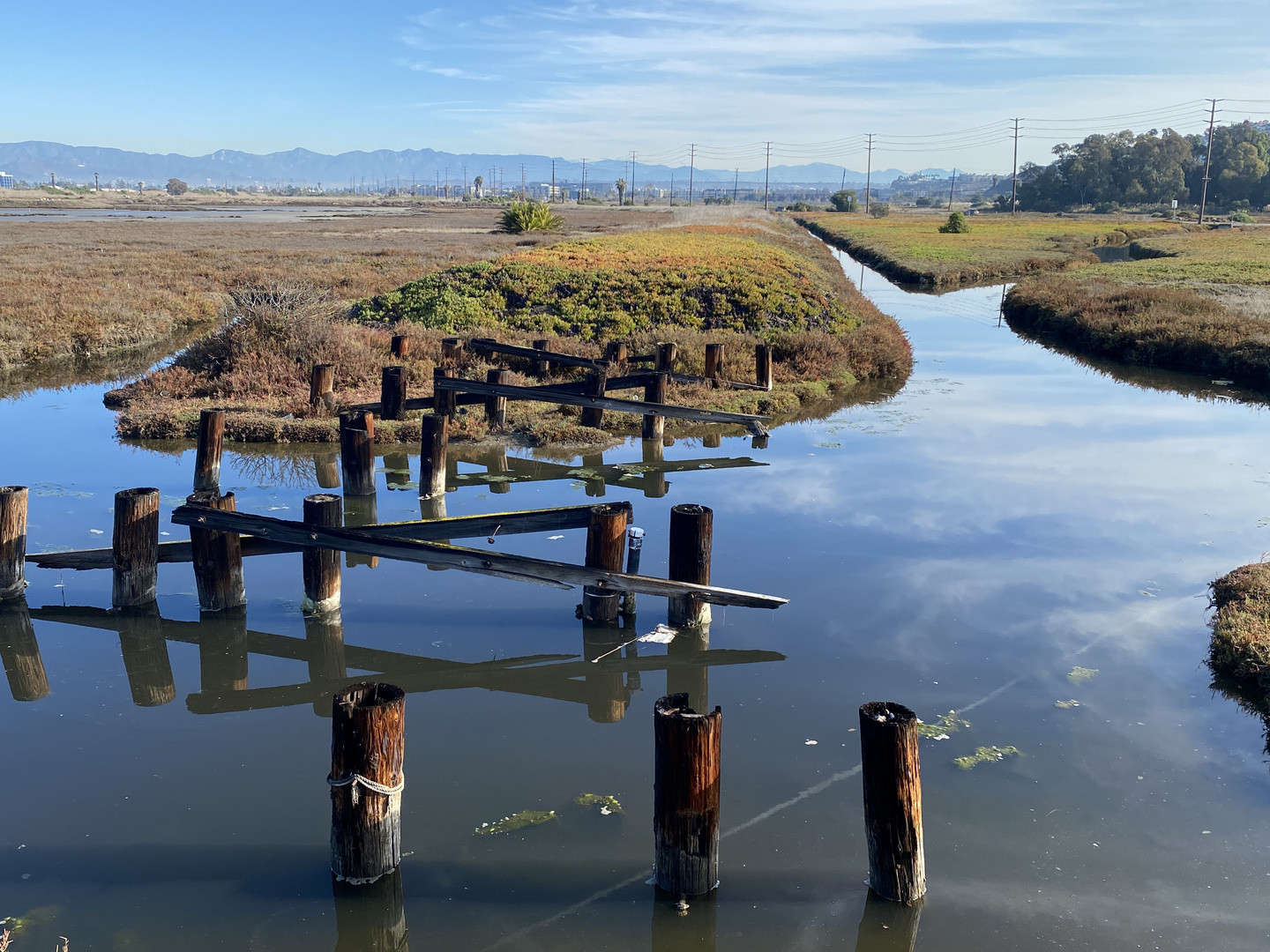 Ballona Wetlands