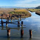 Ballona Wetlands