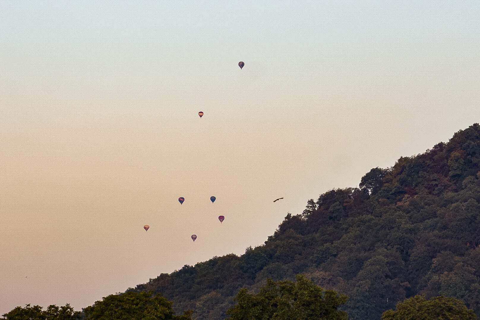 Ballonaufstieg Morgens um 7:30