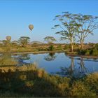 Ballonfahren über der Serengeti...