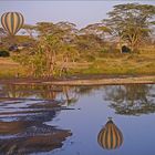 Ballonfahren über der Serengeti II...