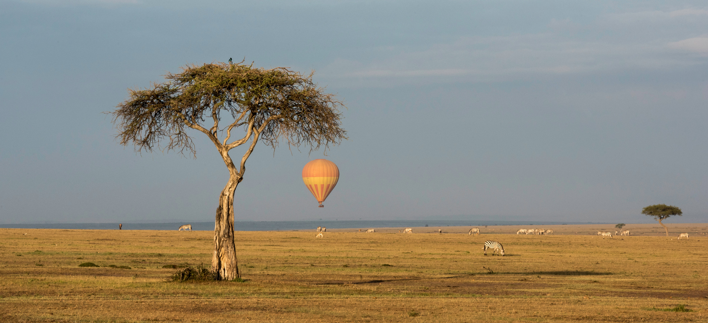 Ballonfahrer in der Maasai Mara