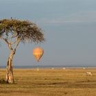 Ballonfahrer in der Maasai Mara