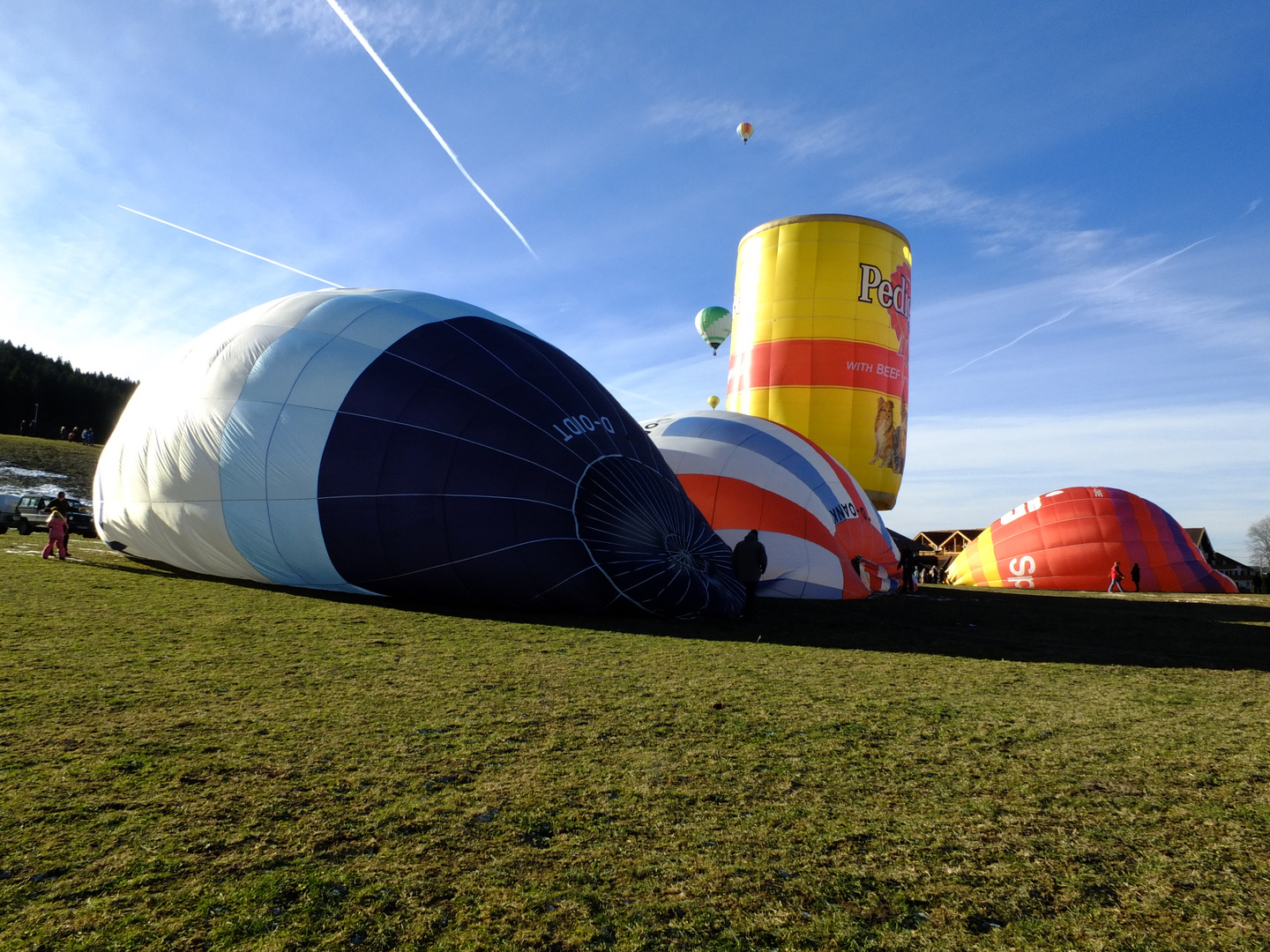 Ballonfahrertreffen in Bad Kohlgrub am Neujahrstag 2014-1