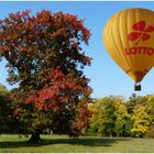 Ballonfahrt in den Herbst