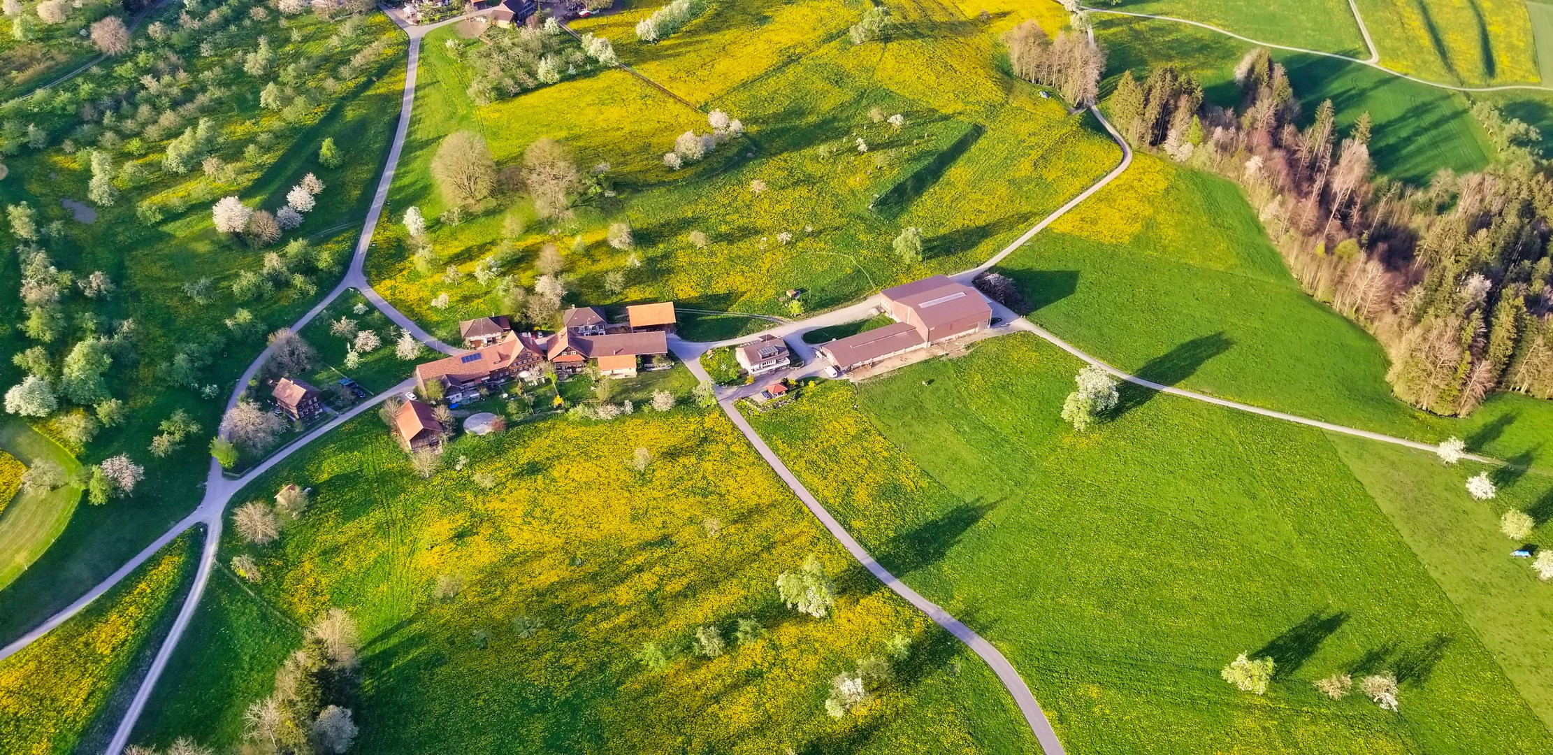 Ballonfahrt über die Ostschweiz