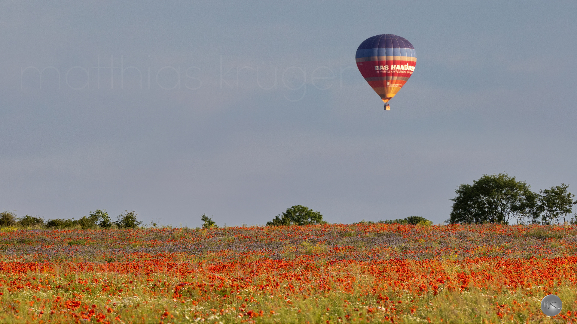 Ballonfahrt über Sommerwiese