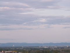 Ballonfahrt.´08 in Frankenthal