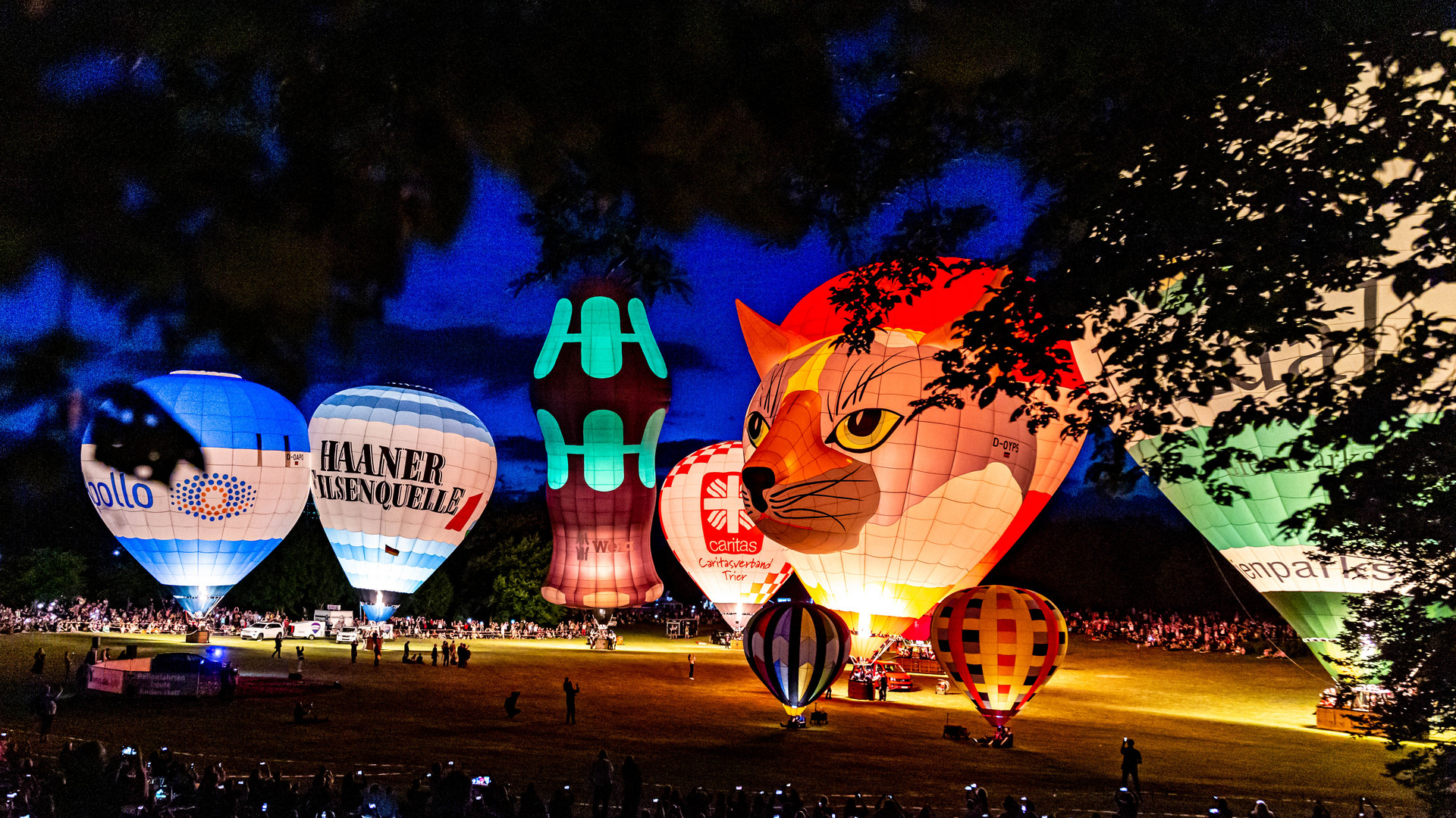 Ballonfest in der Rheinaue 11.06.2022