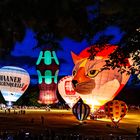 Ballonfest in der Rheinaue 11.06.2022