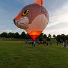 Ballonfestival Bonn #8