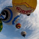 Ballonfestival Ladenburg - und so fahren sie dahin