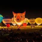 Ballonglühen Bonner Rheinaue