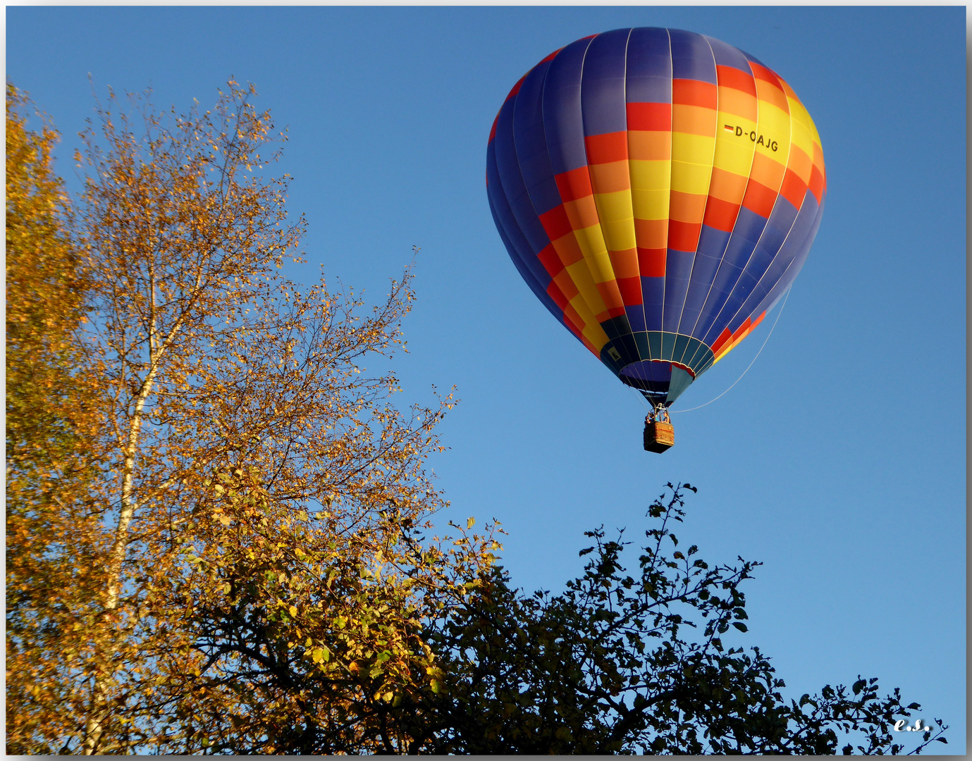 Ballonlandung direkt hinterm Haus Nr 2