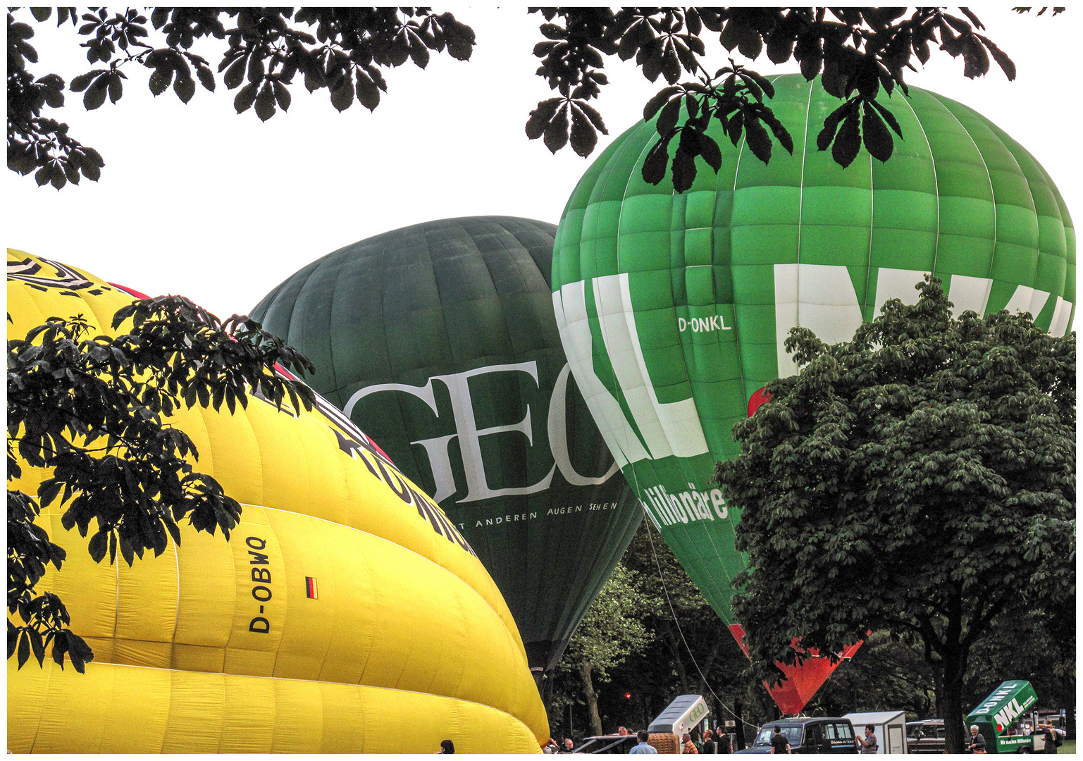 Ballons im Park 2