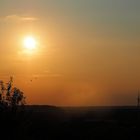 Ballons im Sonnenuntergang…