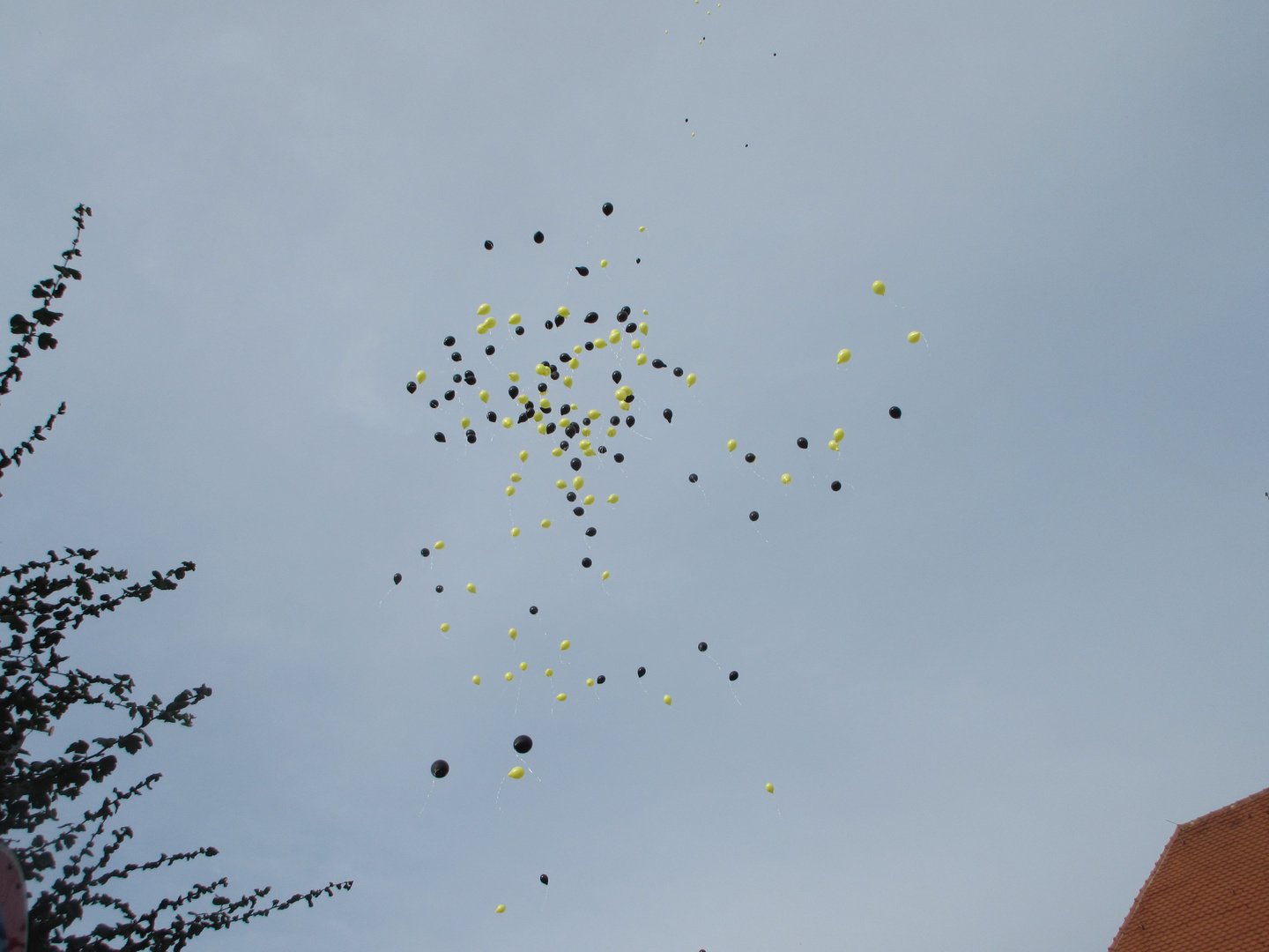 Ballons steigen auf