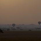 Ballons über der Serengeti