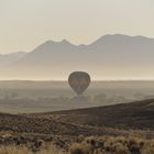 Ballonstart im Morgentau