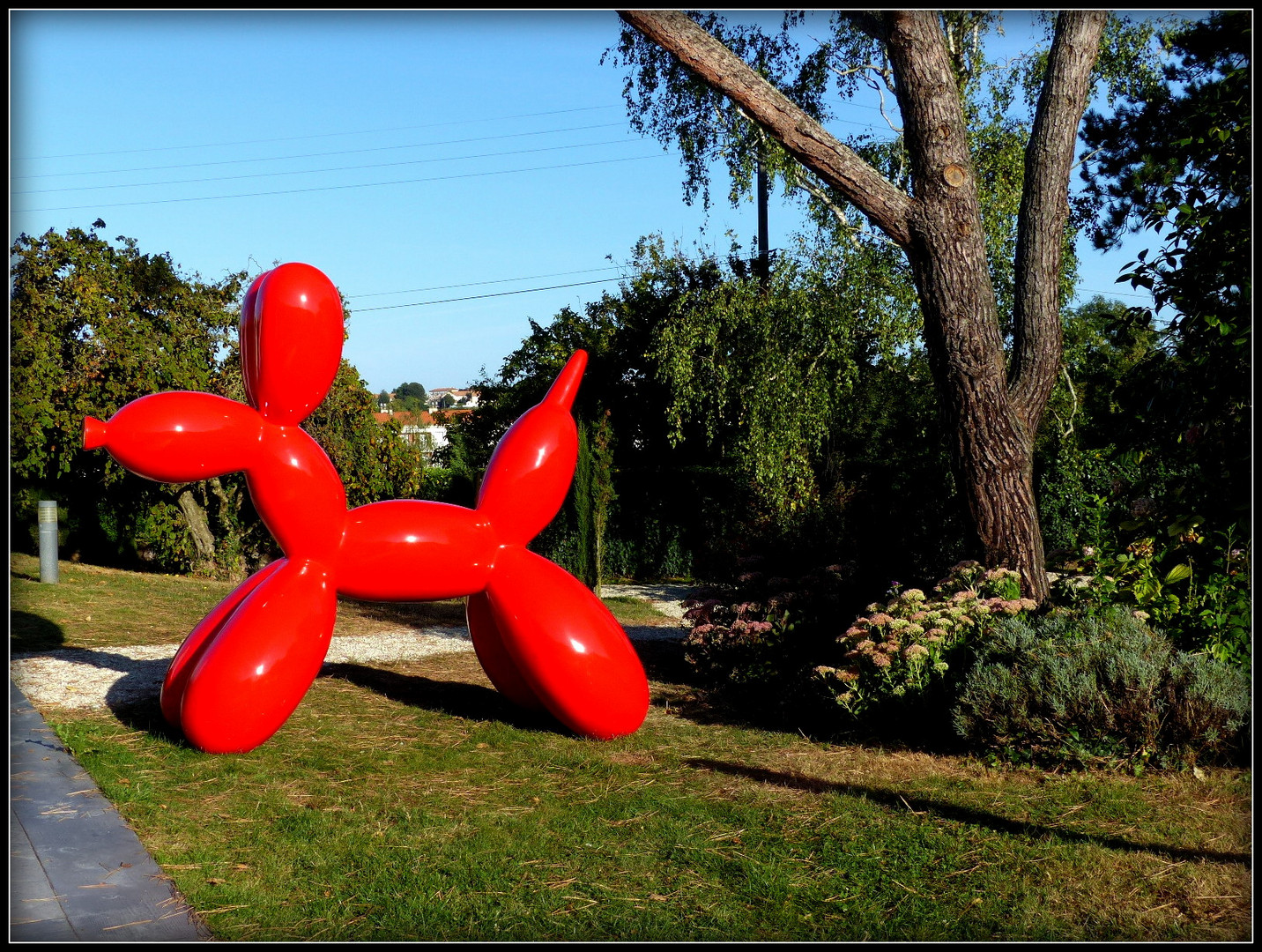 Balloon Dog -ujuc-