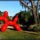 Balloon Dog -ujuc-