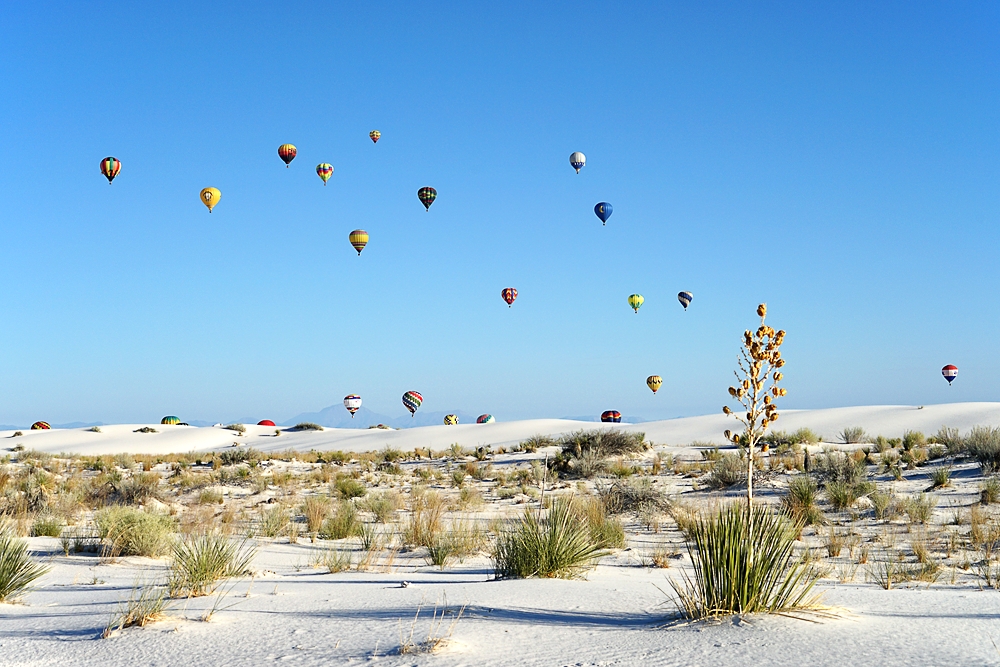 Balloon Festival_DSC02375a