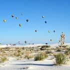 Balloon Festival_DSC02375a