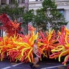 Balloons in San Francisco