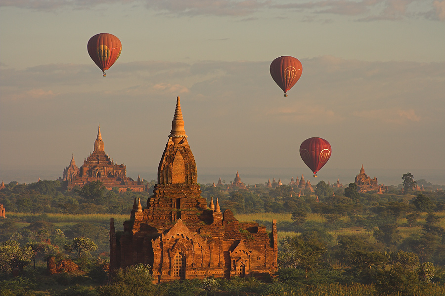 Balloons over Bagan by Manuel Schauer