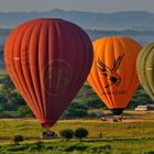 Balloons over Bagan