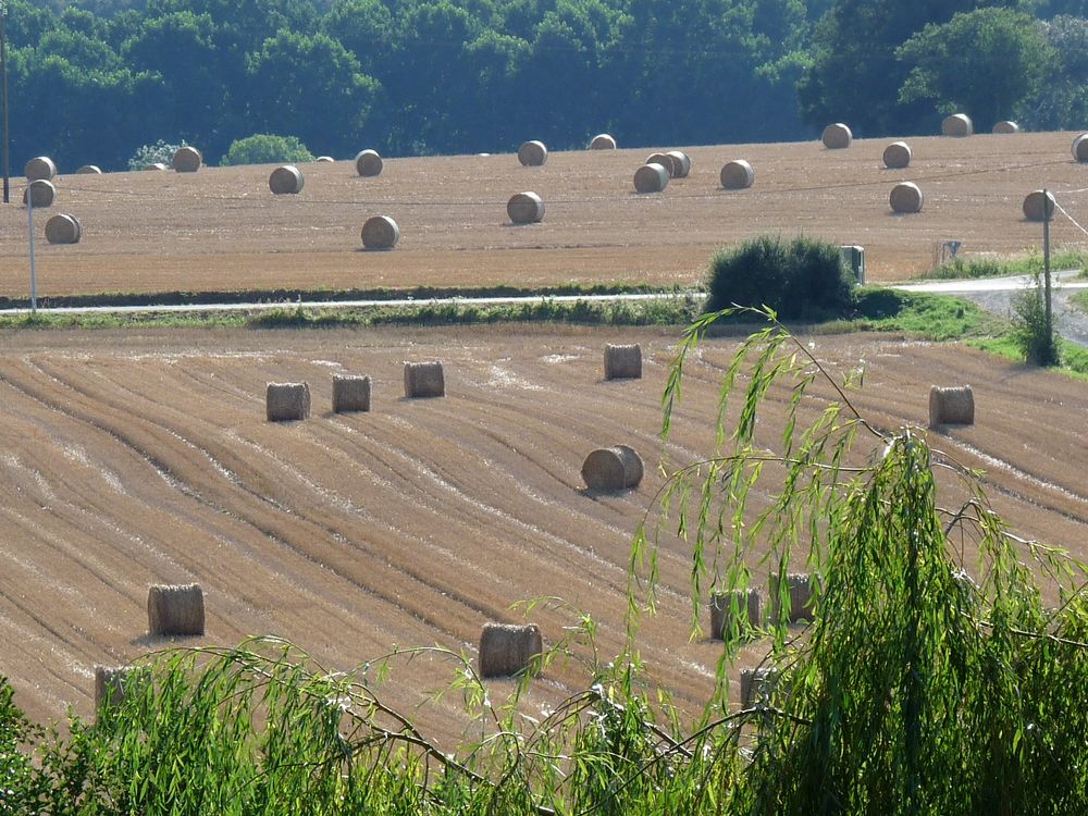 Ballots de paille