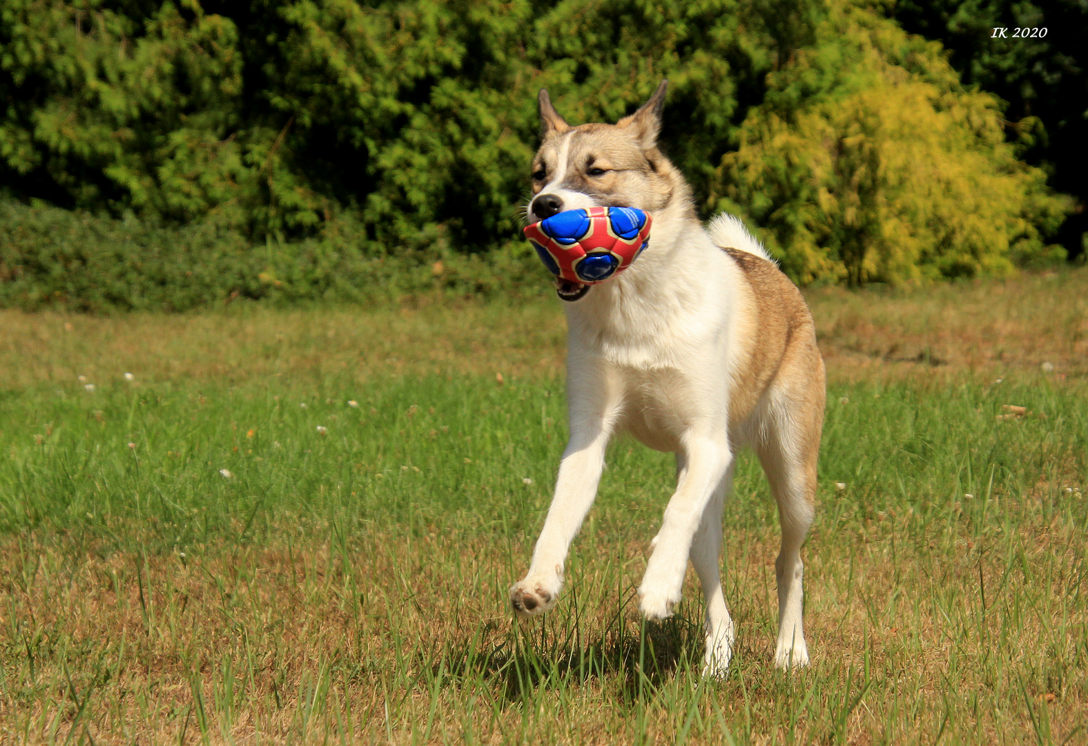 Ballspiel....