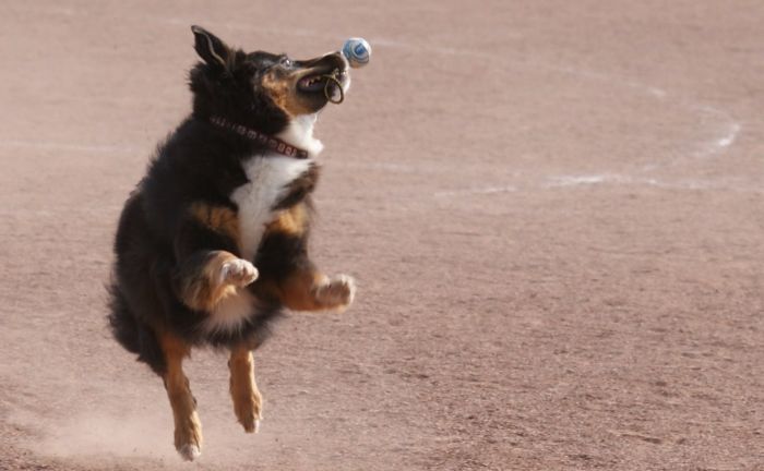 Ballspiel