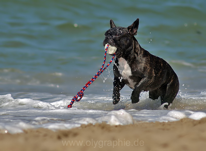 Ballspiel am Nordseestrand