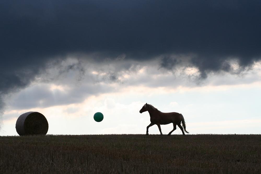 Ballspiel