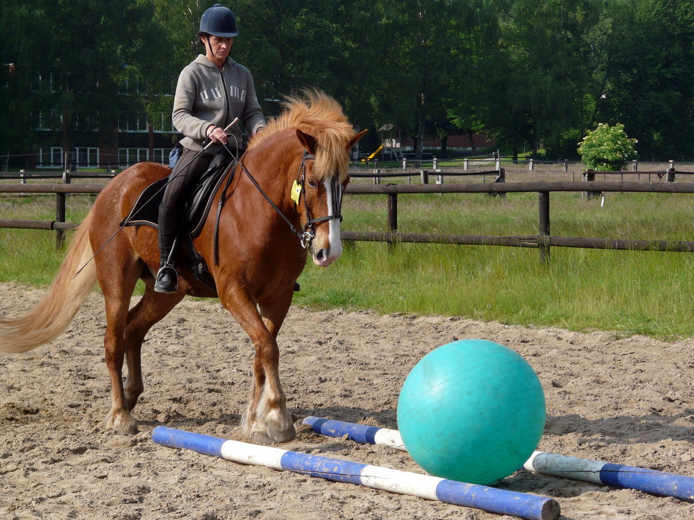 Ballspiel mit Pferd