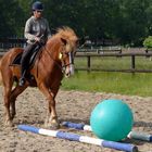 Ballspiel mit Pferd