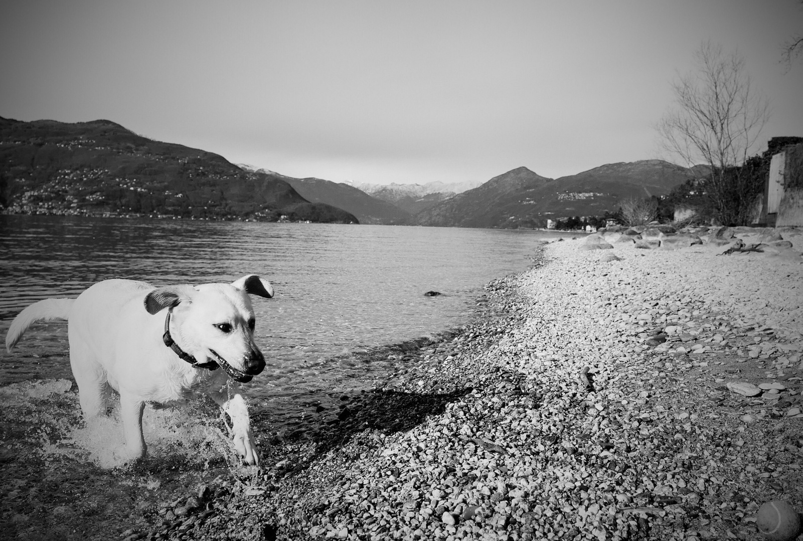 Ballspiele am Lago Maggiore!