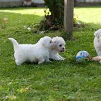 Ballspiele im Freien