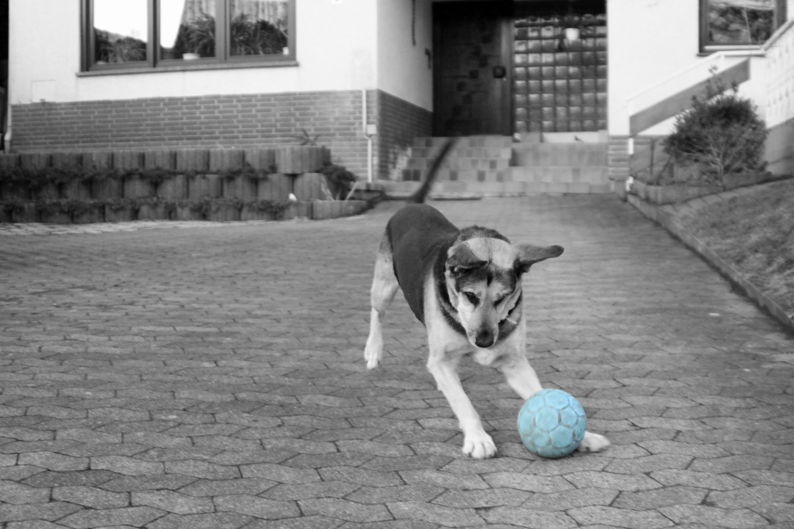 Ballspieln s/w