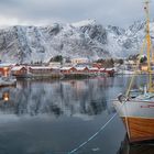 ballstad harbor