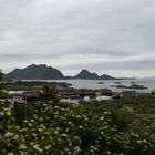 BALLSTAD - ISOLE LOFOTEN