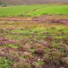 Ballycroy Nationalpark