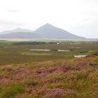 Ballycroy Nationalpark II