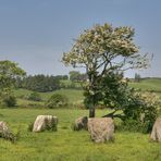 Ballyvackey Stone Circle